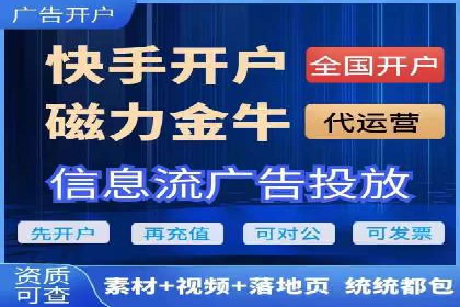 百度竞价推广在电商领域的赚钱案例